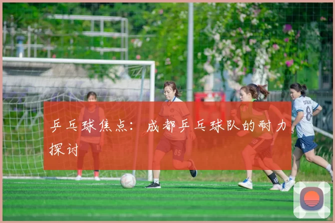 乒乓球焦点：成都乒乓球队的耐力探讨