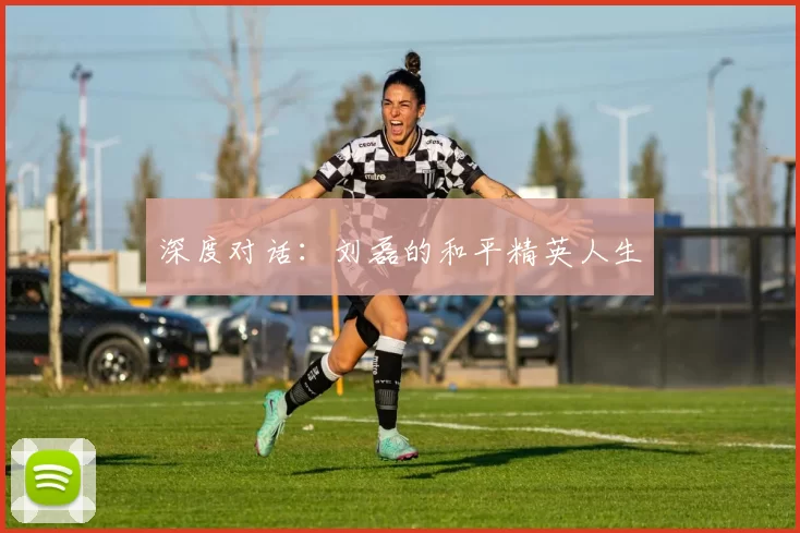 深度对话：刘磊的和平精英人生