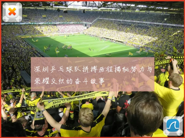 深圳乒乓球队拼搏历程揭秘努力与荣耀交织的奋斗故事